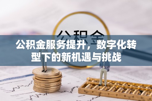 巴彦淖尔市公积金服务提升，数字化转型下的新机遇与挑战